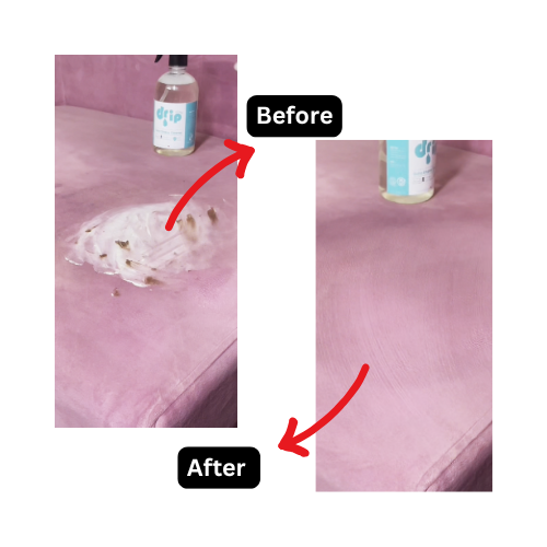 Sofa Stains Cleaner